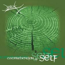 Comprehension of Self